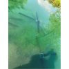 Spawning Bed