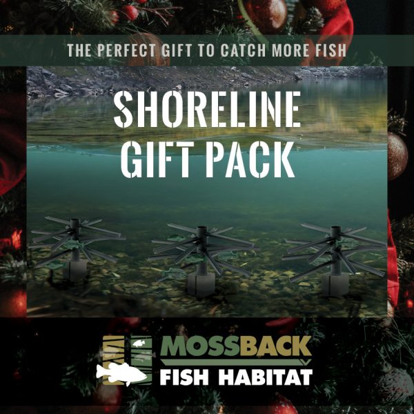Shoreline gift pack
