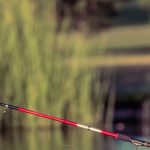 Father and Daughter fishing from a pond