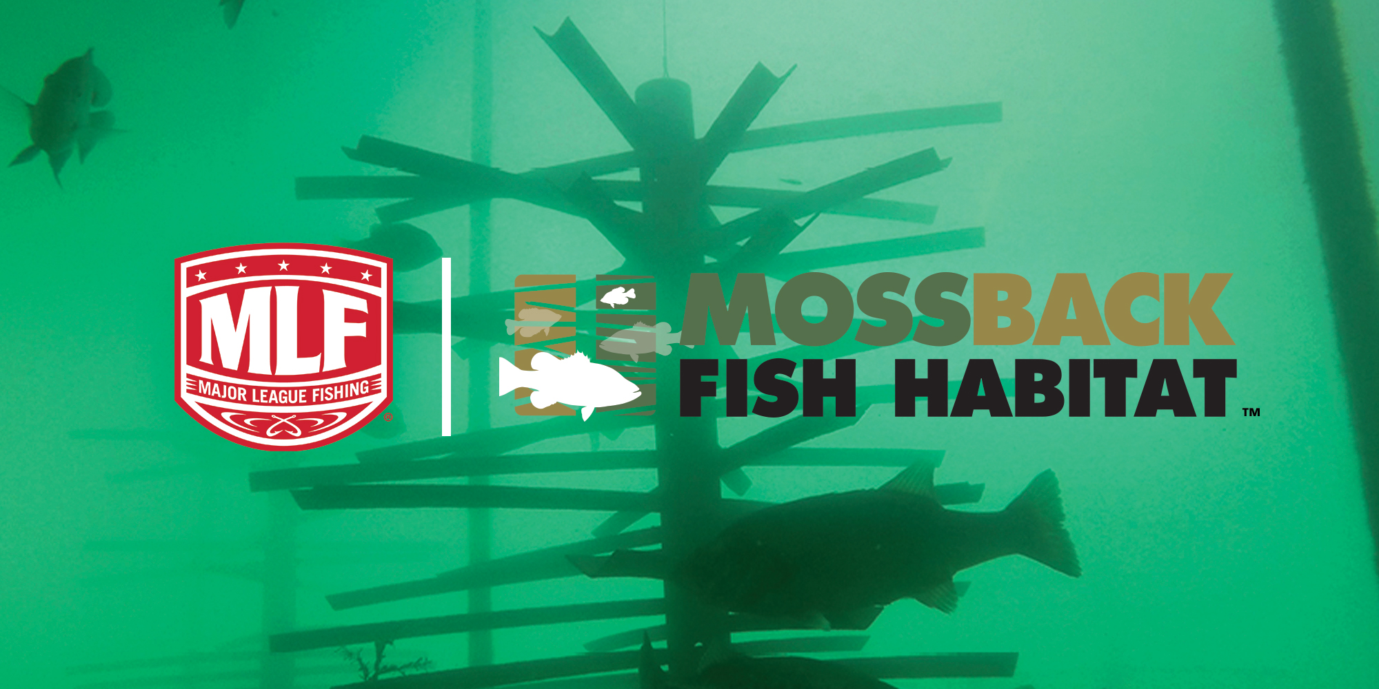 Mossback + Major League Fishing